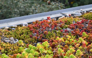 the cost of Hackthorn green roof installation
