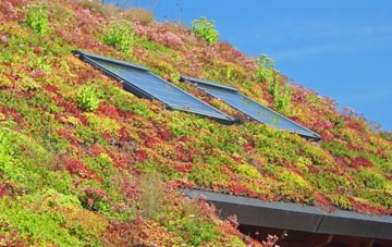 Hackthorn living roof systems