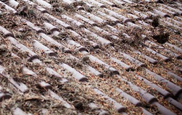 Hackthorn roof cleaning companies