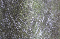 Hackthorn fibreglass roof work